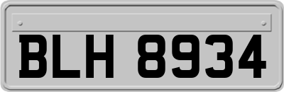BLH8934