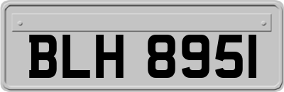 BLH8951