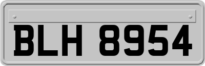 BLH8954