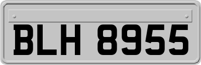 BLH8955