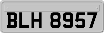 BLH8957