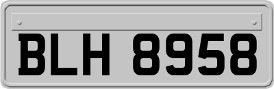 BLH8958