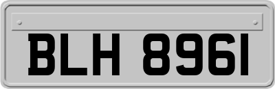 BLH8961