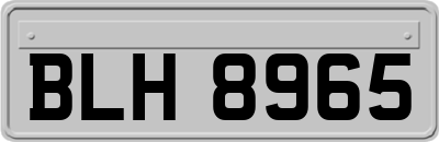 BLH8965