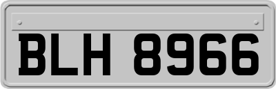 BLH8966