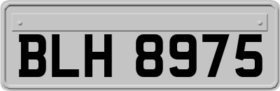 BLH8975