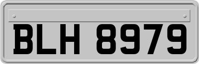 BLH8979