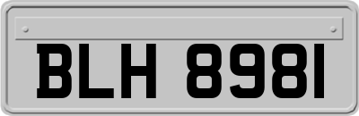 BLH8981