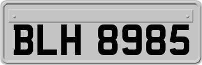 BLH8985