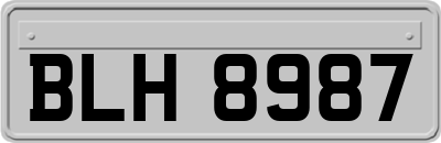 BLH8987