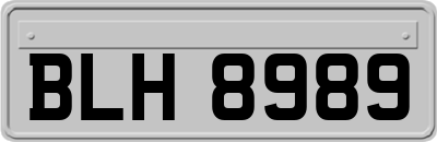 BLH8989