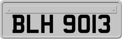 BLH9013