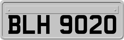 BLH9020