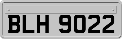 BLH9022