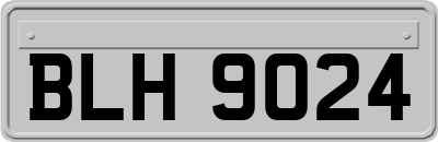 BLH9024