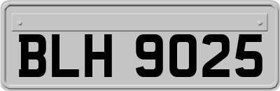 BLH9025