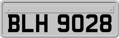 BLH9028