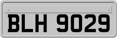 BLH9029