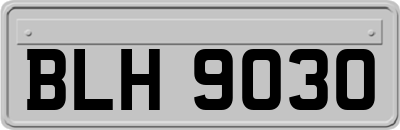 BLH9030