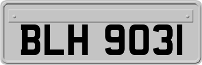 BLH9031