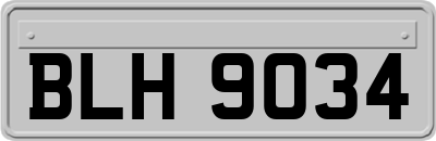 BLH9034
