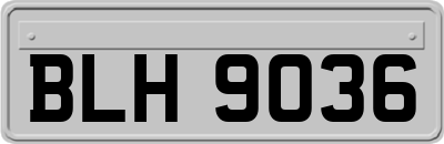BLH9036