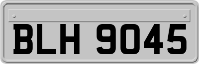 BLH9045