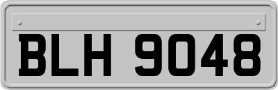 BLH9048