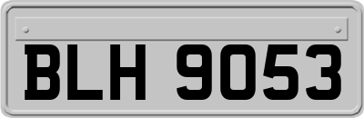 BLH9053