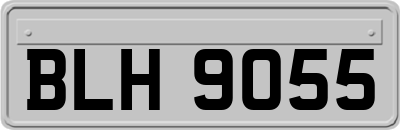 BLH9055