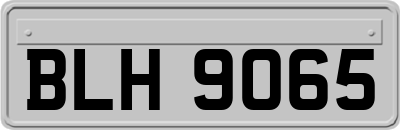 BLH9065