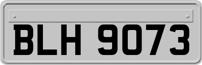 BLH9073