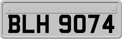 BLH9074