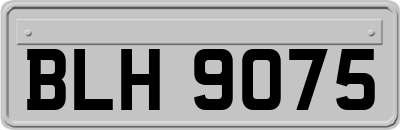 BLH9075