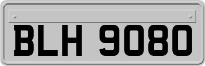 BLH9080