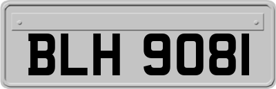 BLH9081