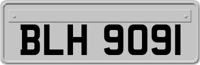 BLH9091