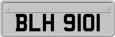 BLH9101