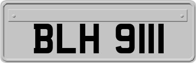 BLH9111