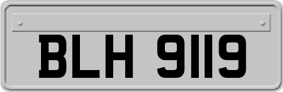 BLH9119