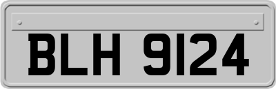 BLH9124