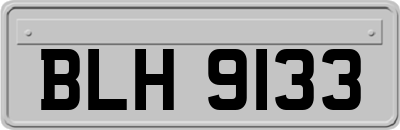 BLH9133