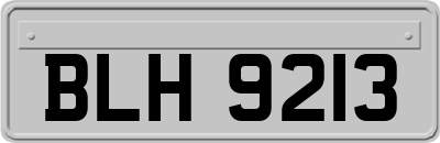 BLH9213