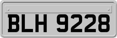 BLH9228