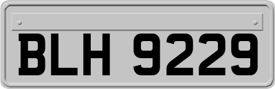 BLH9229