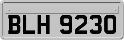 BLH9230