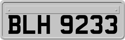 BLH9233