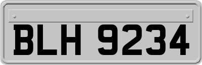 BLH9234
