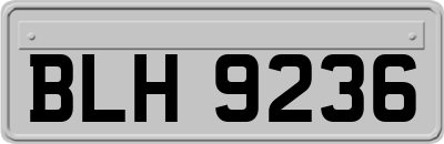 BLH9236