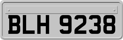 BLH9238